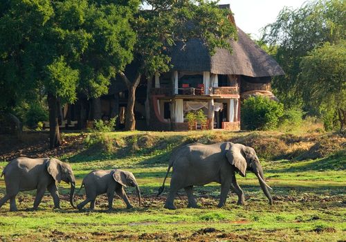 Robin Pope Safaris - Luangwa Safari House